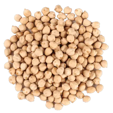 Kabuli Chickpeas - Pulses - Adroit Overseas